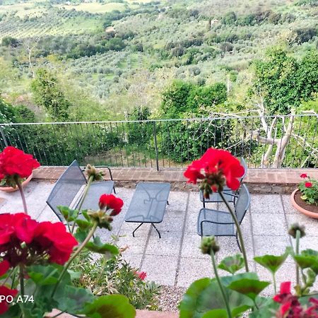 Tenuta Di Montemassi Fattoria Eksteriør billede