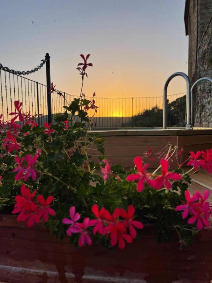 Tenuta Di Montemassi Fattoria Eksteriør billede