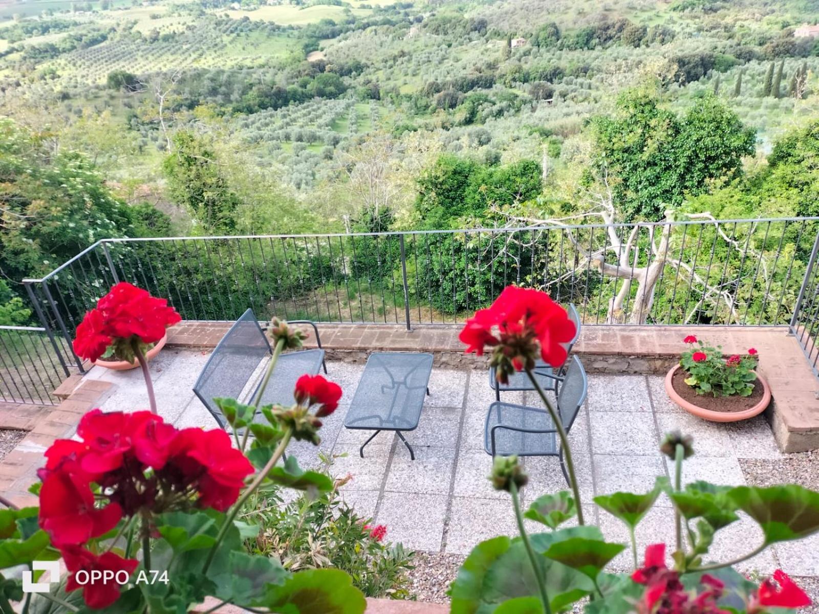 Tenuta Di Montemassi Fattoria Eksteriør billede